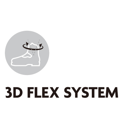 3DFlex
